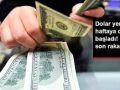 dolar