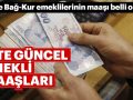 emekli