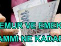 MEMUR VE EMEKLİ ZAMMI