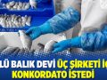 konkordato