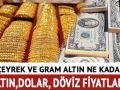 ALLLLL