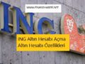 ING ALTIN