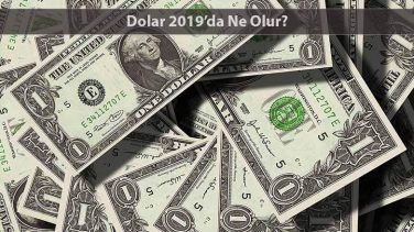 dolar-2019