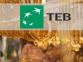 teb_altin_hesabi_