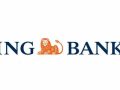 ing_bank_sim_kart_blokesi_kaldirma_