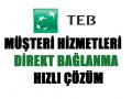 teb