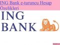 ING-Turuncu-Hesap