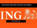 ing-bank-sim-kart