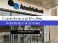 Anadolubank-internet şifre