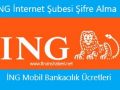 İNG ŞŞŞŞ