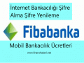 fibabankaaaaaaaaa
