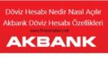 akbank dövizzz