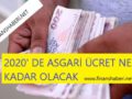 2020 Asgari Ücret