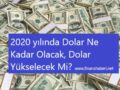 2020 Dolar