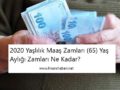 2020 Yaşlılık