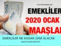 Emekli Maaşı 2020