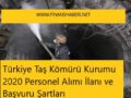 2020 Taş Kömürü