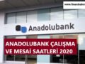 anadolubankç