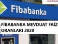 fiba emekli