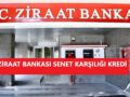 Ziraat senet