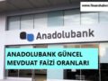 anadolubankç