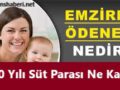 süt parası www.finanshaberi.net