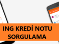 ıng-kredi-notu-sorgulama