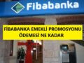 fibabanka_ne_kadar_promosyon_veriyor