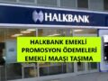 halk_bank_emekli_promosyonu_kaç_tl