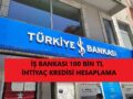 iş-bankası-100-bin-tl-ihtiyaç-kredisi
