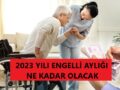 2023_yılı_engelli_aylığı_ne_kadar_olacak